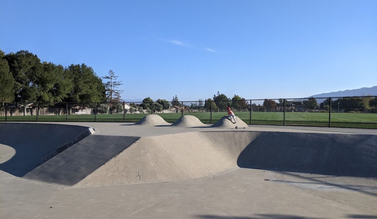 Pleasanton Skatepark